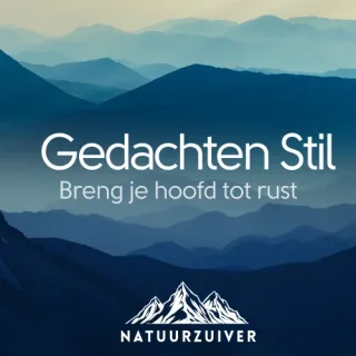Gedachten Stil etherische olie blend van Natuurzuiver