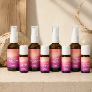 De Kracht van Vertragen etherische olie blend van Natuurzuiver