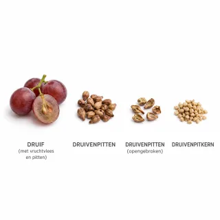Druivenpitolie RF draagolie van Natuurzuiver