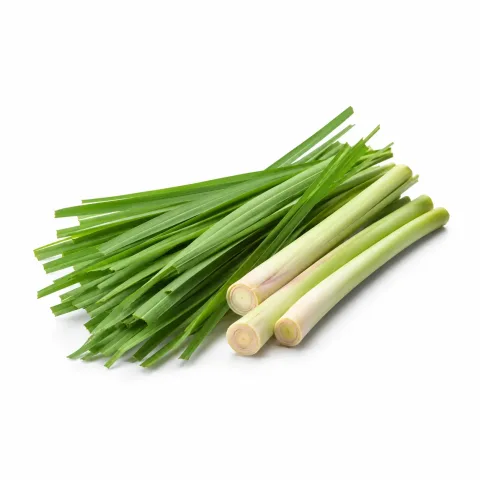 Citronella etherische olie van Natuurzuiver