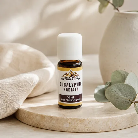 Eucalyptus Radiata 10 ml etherische olie van Natuurzuiver
