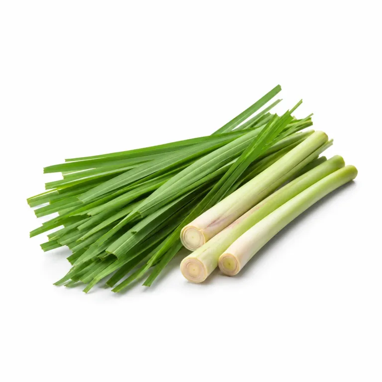 Citronella etherische olie van Natuurzuiver