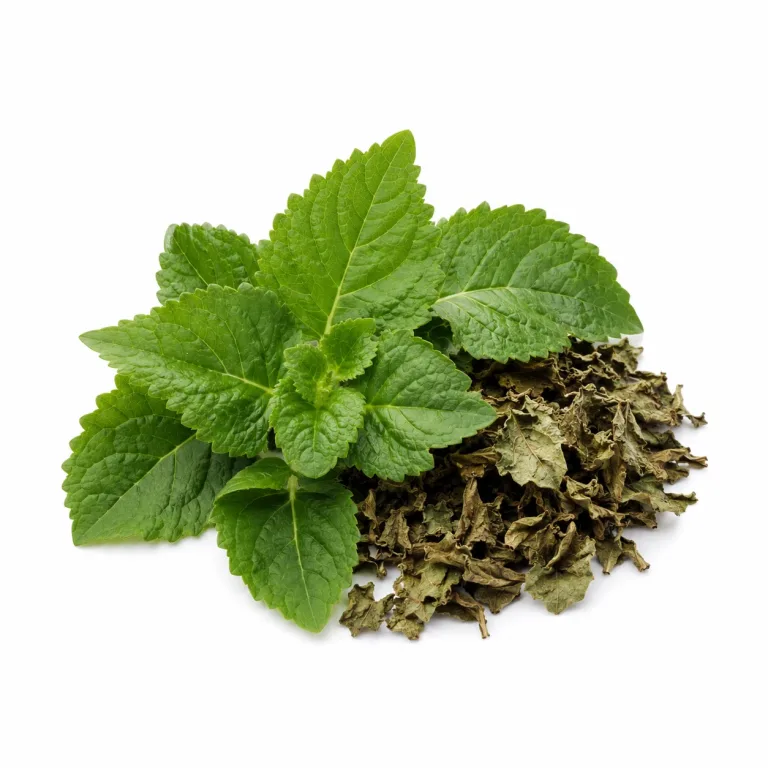 Patchouli etherische olie van Natuurzuiver